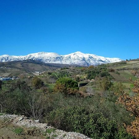 Villa Axenti Agios Thomas  外观 照片