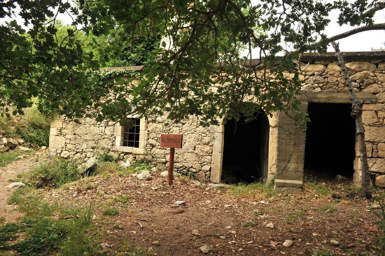 Villa Axenti Agios Thomas  外观 照片