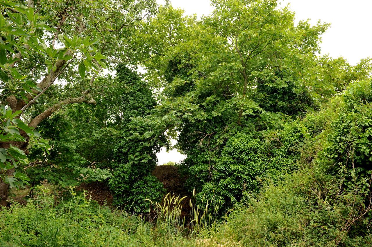 Villa Axenti Agios Thomas  外观 照片